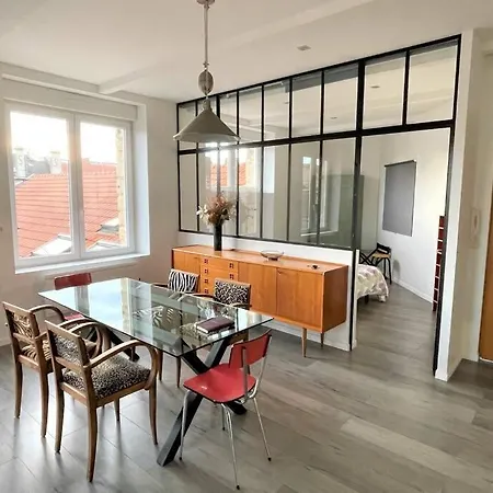 Apartmán Superbe Loft 100m2 Proche Cathedrale Avec Parking Remeš