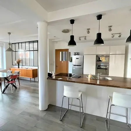 Superbe Loft 100m2 Proche Cathedrale Avec Parking * Reims