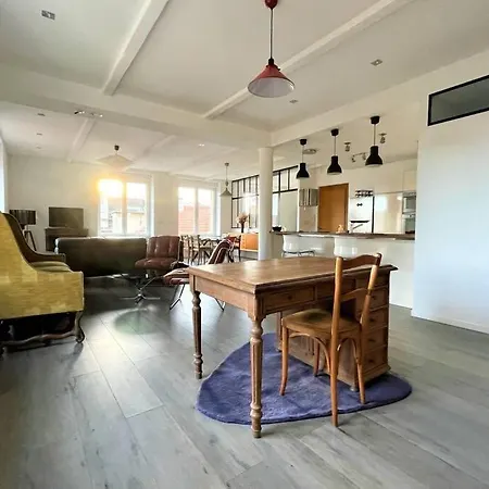 Apartmán Superbe Loft 100m2 Proche Cathedrale Avec Parking Remeš