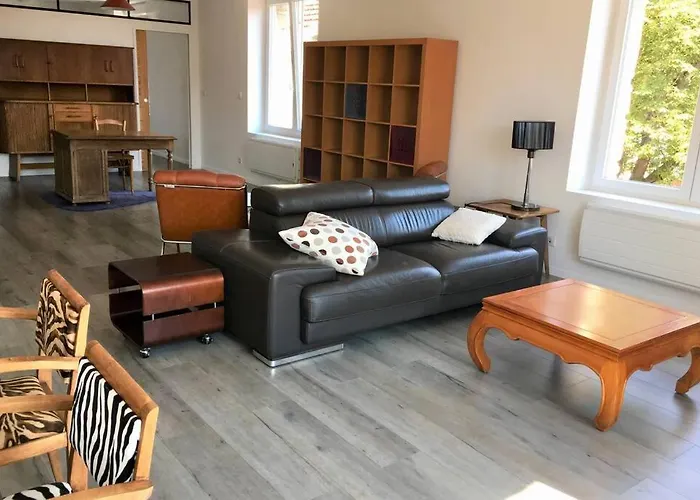 Superbe Loft 100m2 Proche Cathedrale Avec Parking * Reims